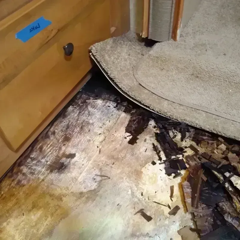 Best Wood Floor Water Damage Service in Schriever, LA